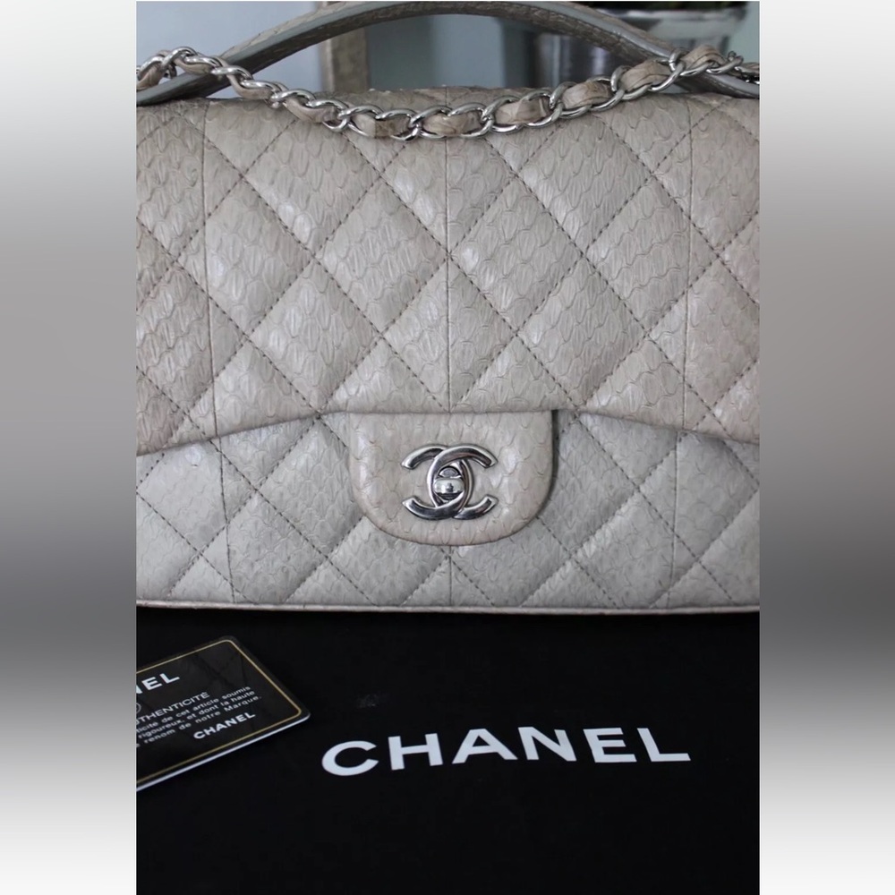 Chanel Python Flap Bag - image 7